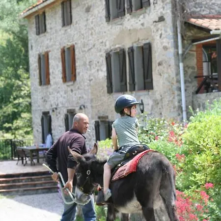 Mas Manyaques Le Tech