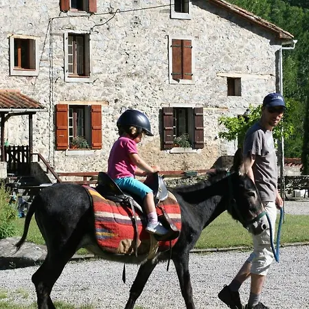 Holiday home Mas Manyaques *